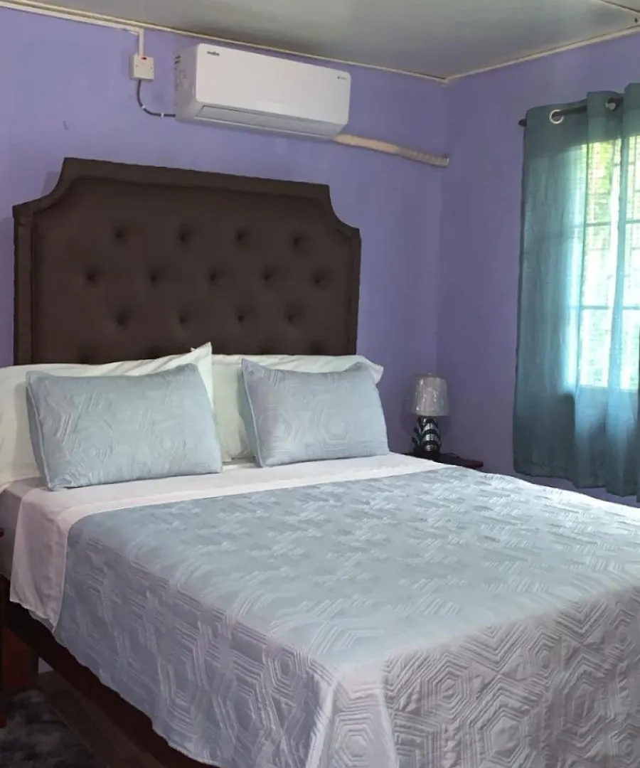 Spanish Town Crimson Clove Vacation Home Ja Spanish Town